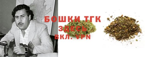 PSILOCYBIN Няндома