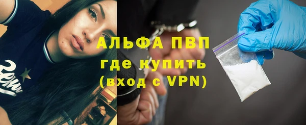 PSILOCYBIN Няндома
