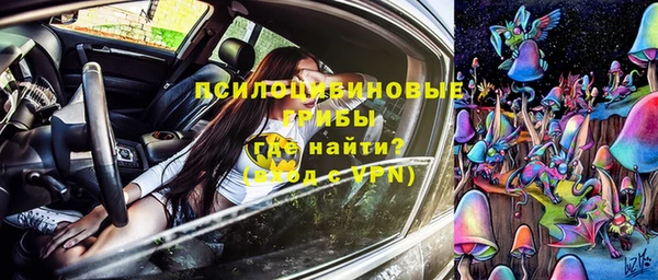 PSILOCYBIN Няндома