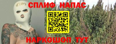 прущие крисы Дубна