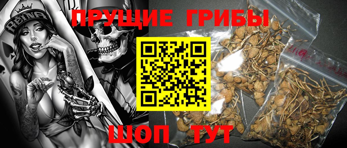 Псилоцибиновые грибы Psilocybine cubensis  Вход с VPN  Конаково 